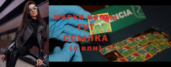 mdpv Бородино