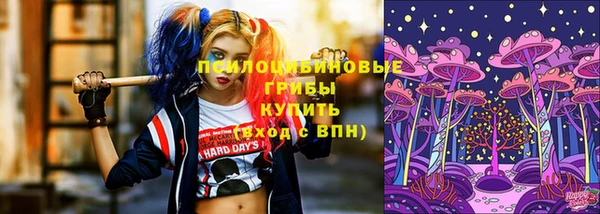 mdpv Бородино