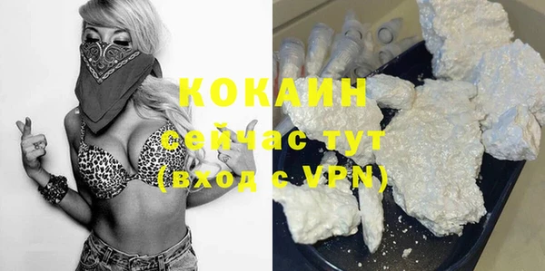 mdpv Бородино
