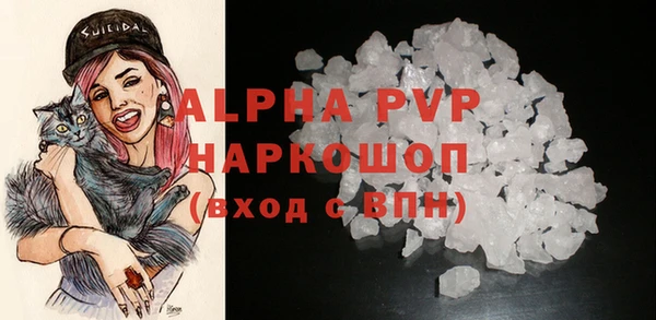 mdpv Бородино